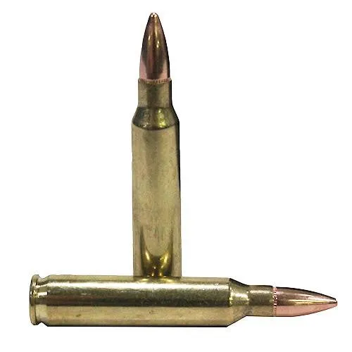 223 Remington - Black Ammunition, 62 Grains, Full Metal Jacket, Per 20