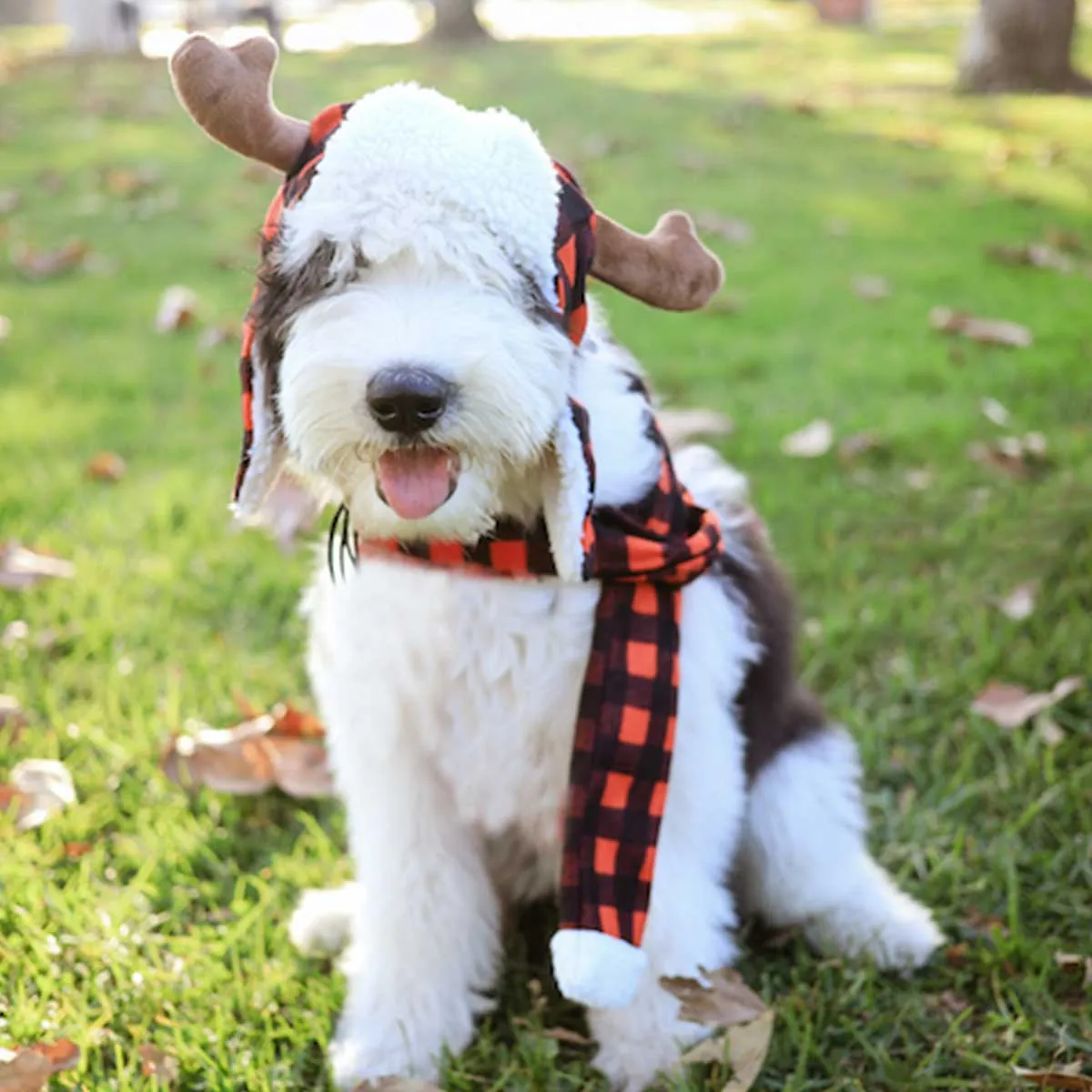 Buffalo Check Pet Scarf