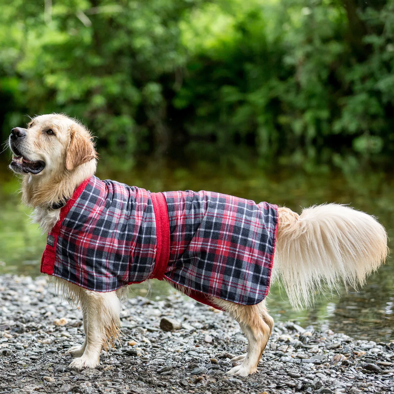 Dogrobe Exclusive - Tartan