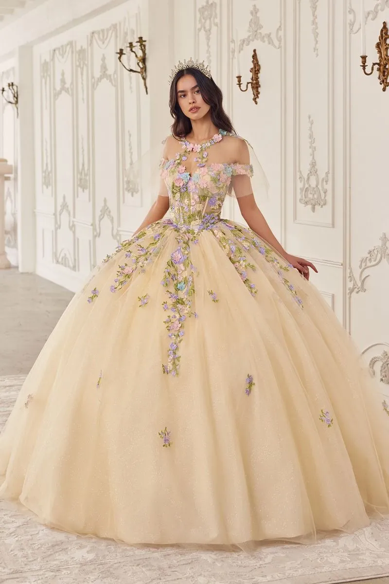 SAPHIRELLE Sheer Capelet Corset Applique Quinceañera Ball Gown Dress