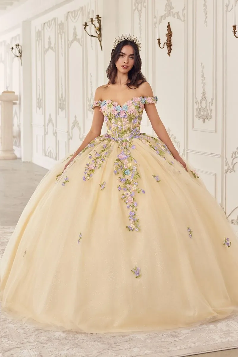 SAPHIRELLE Sheer Capelet Corset Applique Quinceañera Ball Gown Dress